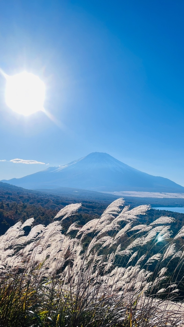 富士山